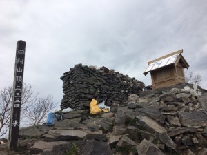 IMG_3119