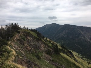IMG_3124