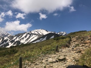 IMG_4355
