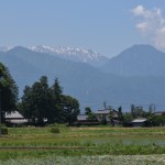 IMG_6563