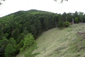 P6192463