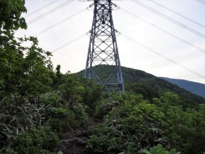 RDSC00156