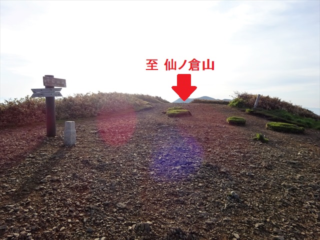 RDSC00206