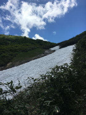 残雪new_IMG_7029