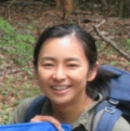 sachi