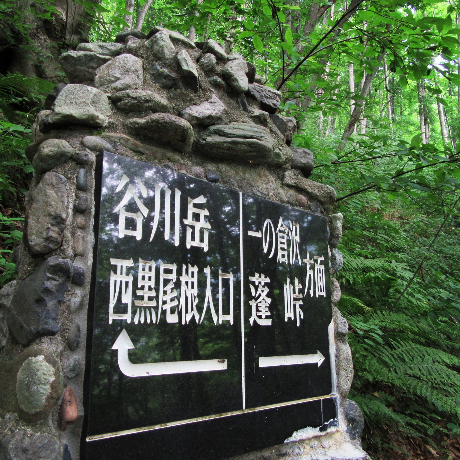 start