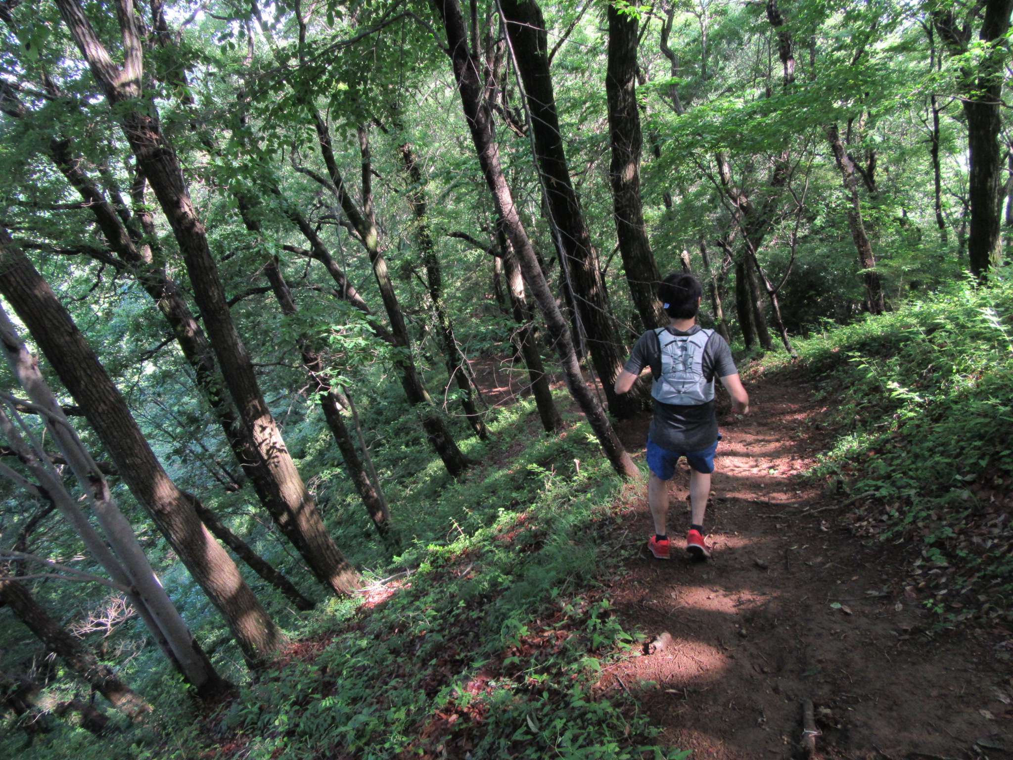 TNF bcmap club 神田】軽量ランニングパック「TR ZERO TNF bcmap club 神田】軽量ランニングパック「TR ZERO
