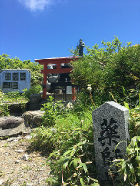 やくしnew_IMG_7036