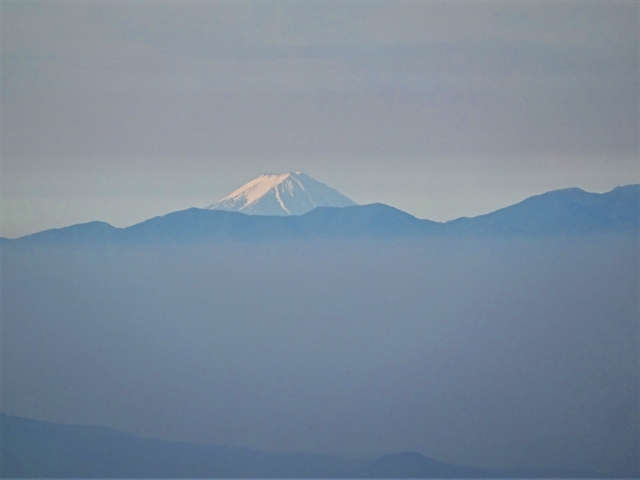 R仙ノ倉山6月
