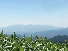 あかぎnew_IMG_7247