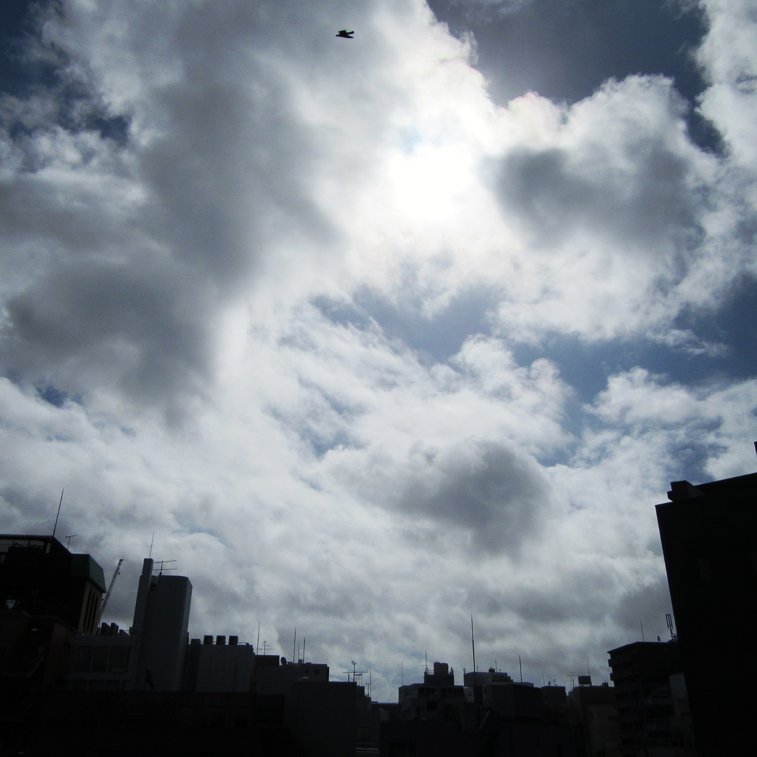 IMG_20180729_084041_221