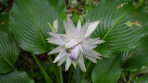RIMG0527