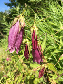 わいんnew_IMG_7157