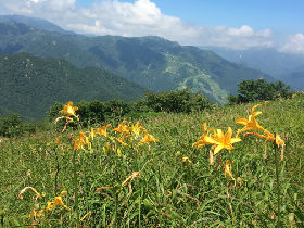 きすなえnew_IMG_7249