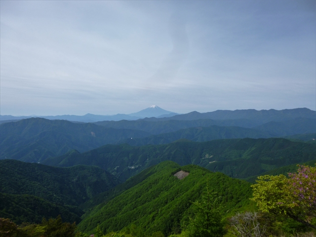 R鷹ノ巣山5月