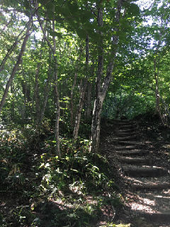 登山道new_IMG_7145