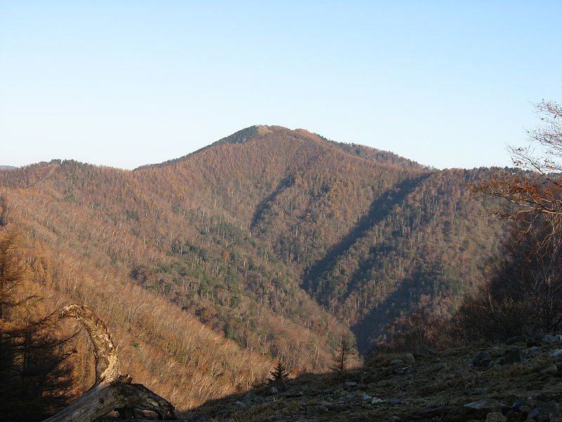 百名山 雲取山・鷹ノ巣山(鷹巣山)・六ツ…