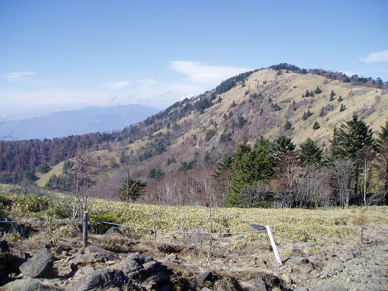百名山 大菩薩嶺・鶏冠山・大マテイ山