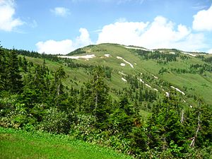 百名山 会津駒ヶ岳