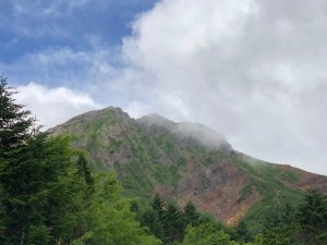 IMG_3502