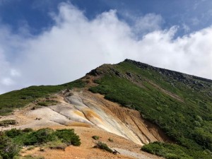 IMG_3553