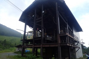 P7272928