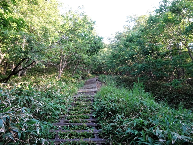 RDSC01594
