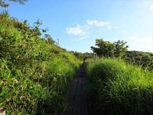 RDSC01598