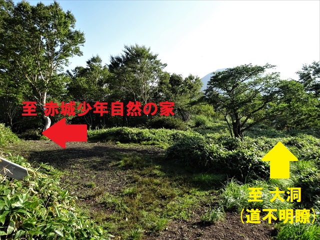 RDSC01633