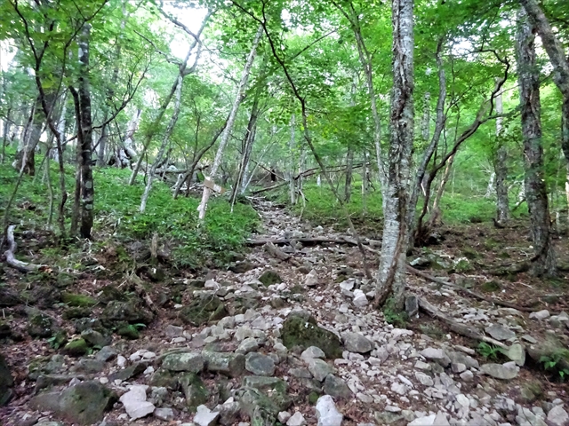 RDSC01639