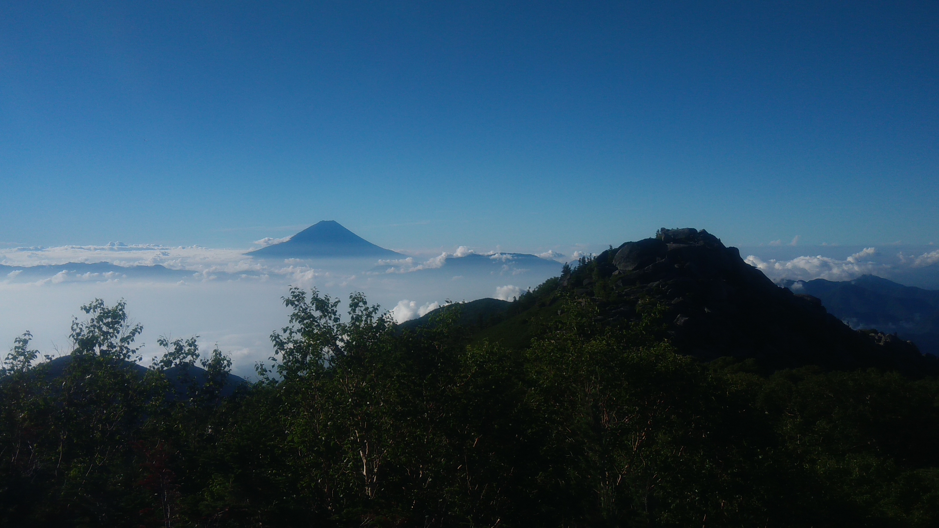 !cid_51b3ae8a-d5c8-4f2a-8792-aba1548aab78