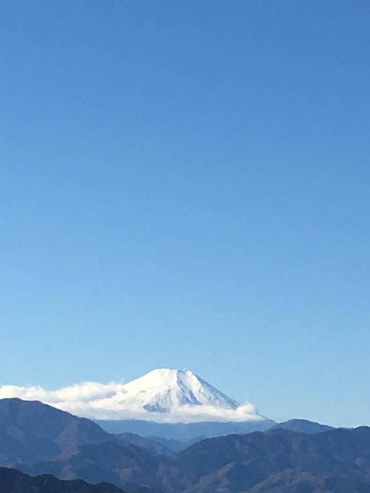【川越店】　高尾山より紅葉をお届けします…