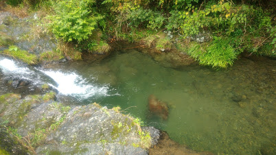 【登山本店】　岩茸石山に行ってきました。