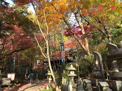【広島店】紅葉の三滝山で地図読み講習を行…