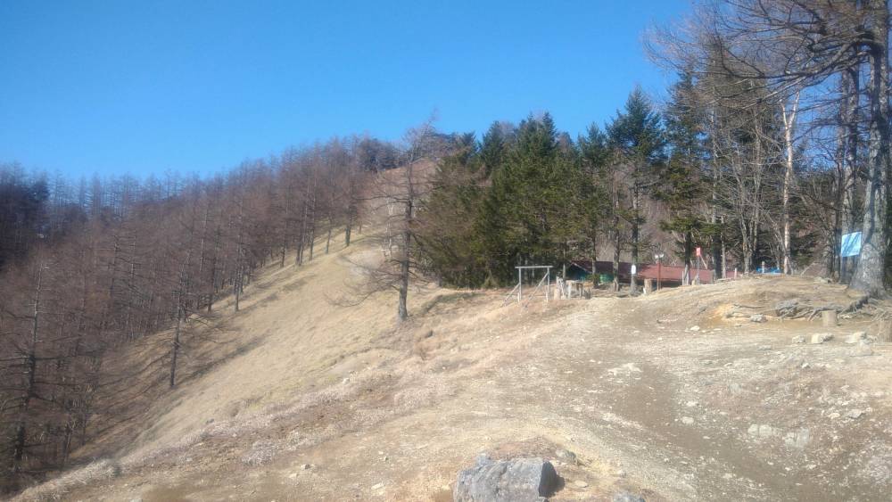 【登山本店】　雲取山周辺　ヨモギ尾根など