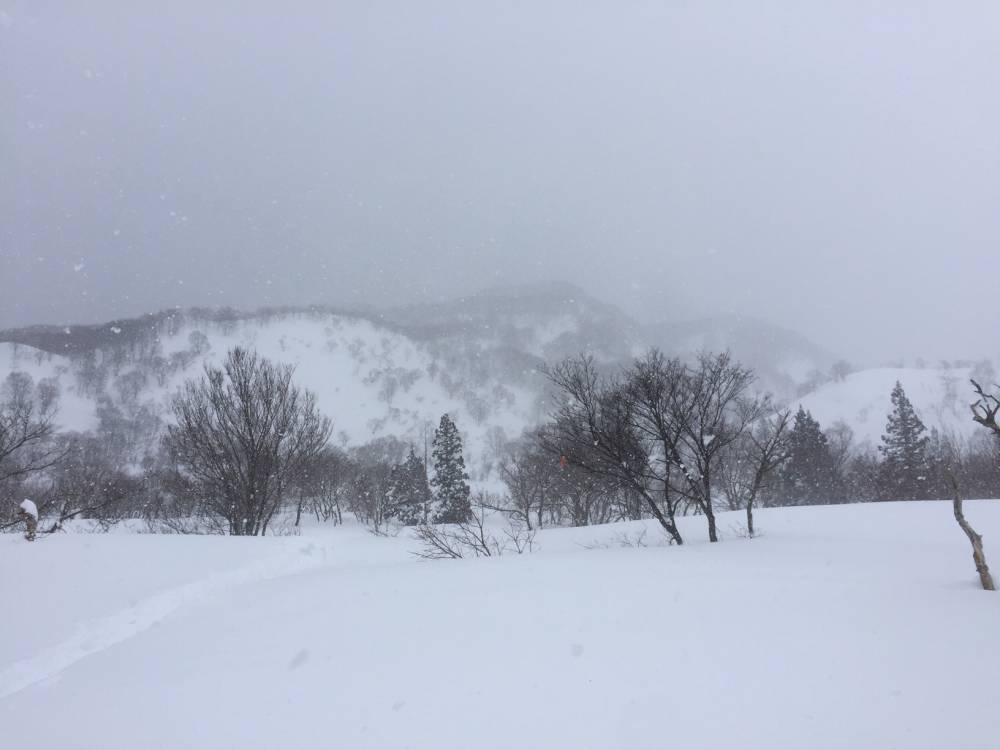 信州　鍋倉山BC