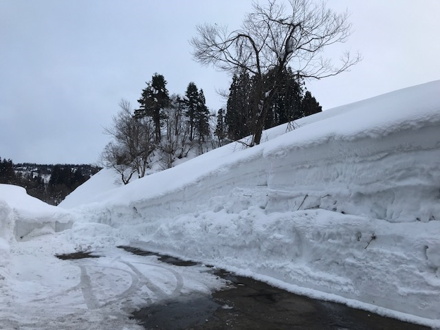 【長岡店】　守門大岳BC