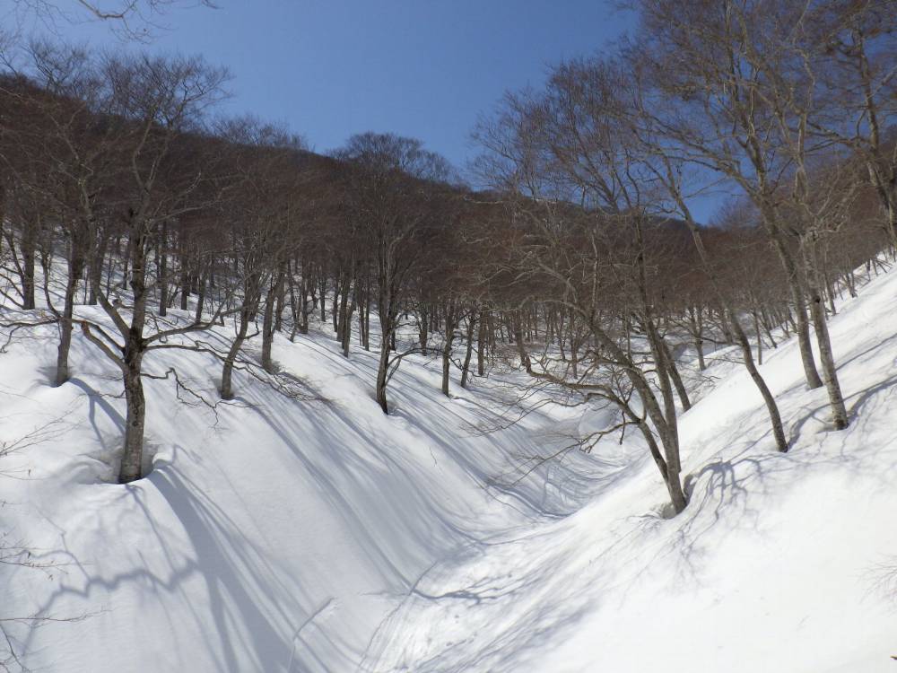【長野店】鍋倉山に行ってきました