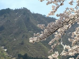 【川越店】 5月の定休日をお知らせいたし…