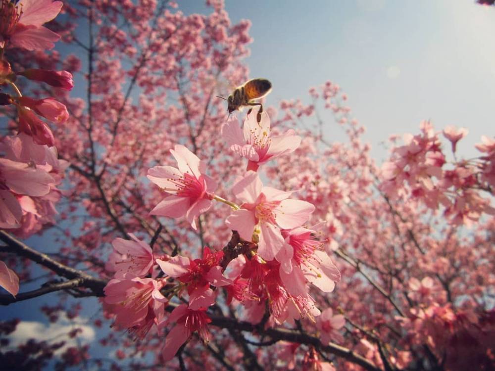 【川越店】 4月の定休日をお知らせいたし…