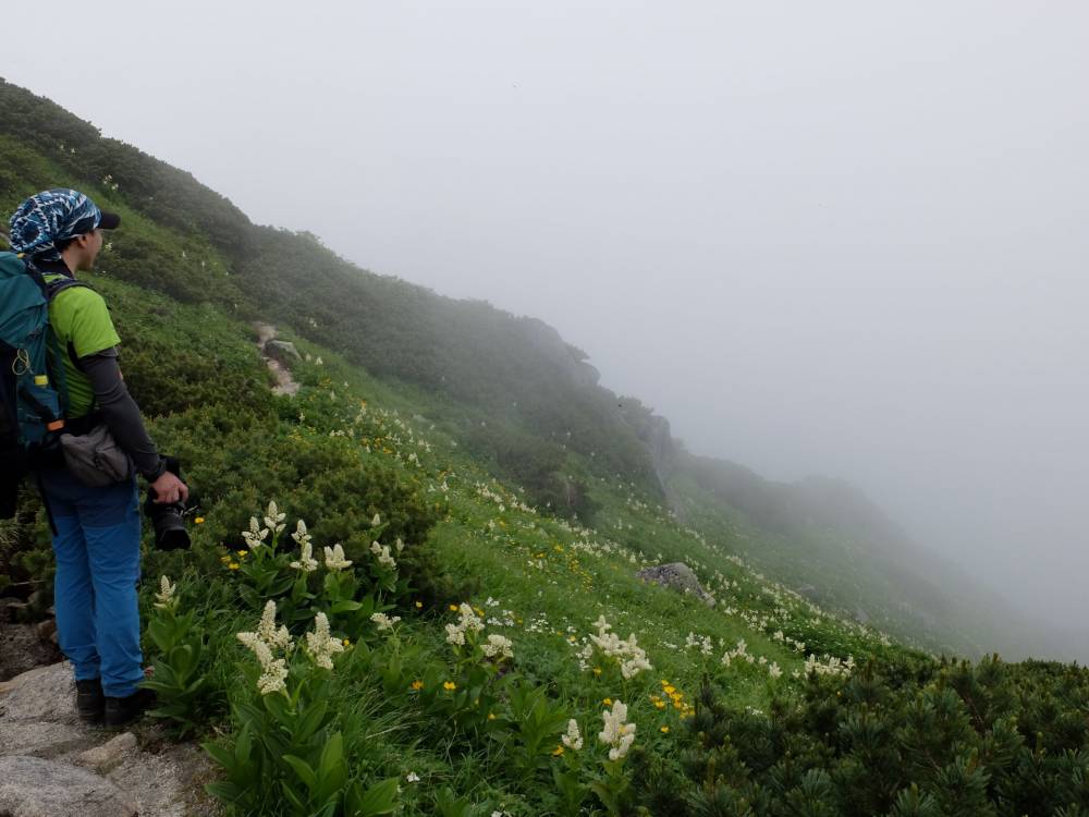 【甲府店】　のんびり花見登山 in 三ノ…
