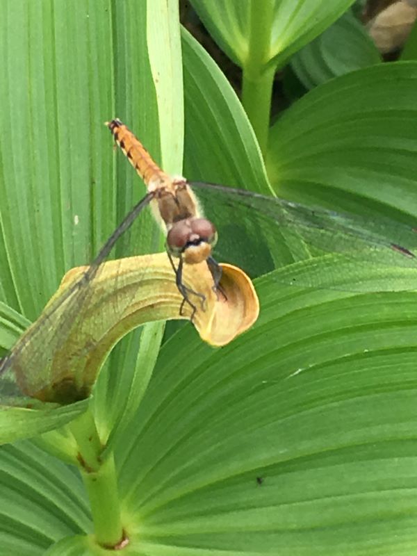 【川越店】 9月の定休日をお知らせ致しま…