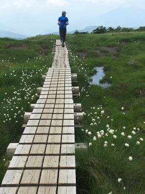 【川越店】苗場山に行ってきました。