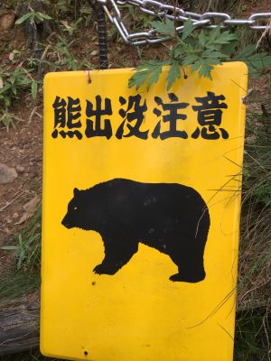 【川越店】 大菩薩嶺に行ってきました。