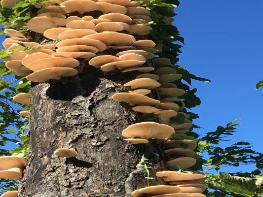 【川越店】 10月の定休日をお知らせいた…