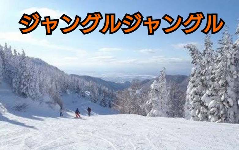 【仙台泉店】ジャングルジャングル試乗会中…