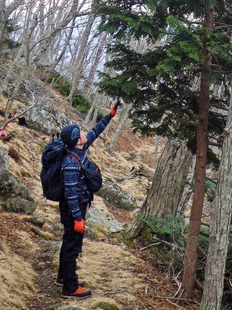 Day3: 小物の工夫で登山ザックをより…