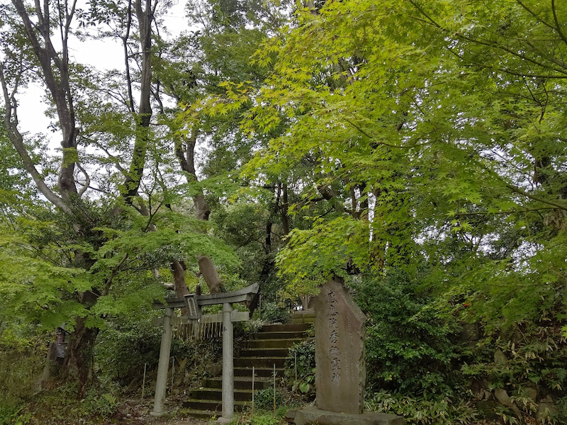 フィールド研修 大冒険の高尾山【アートス…