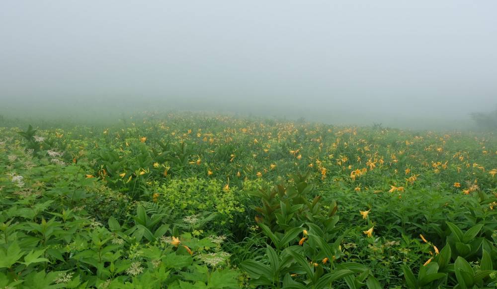 雨の唐松岳【松本店】