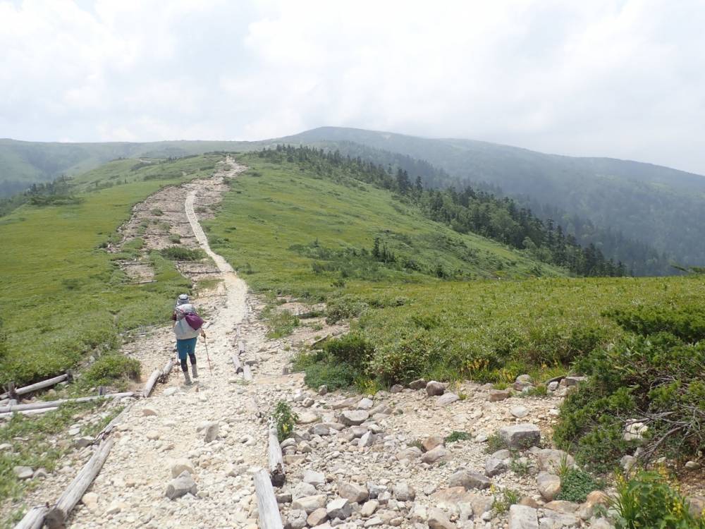 千葉君プレミアム　夏山快適登山のすすめ～…